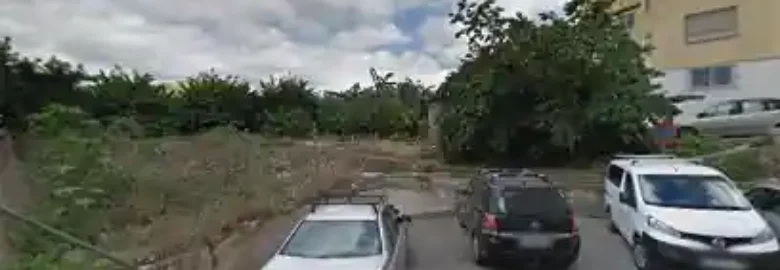 Peluquera canina a domicilio