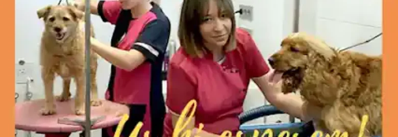 Peluquería Canina Angie