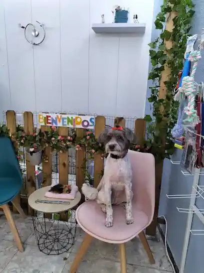Peluquería Canina Ávila