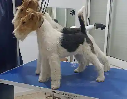 Peluqueria Canina El sevillano