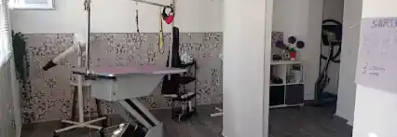 Peluquería Canina Elena Ramírez