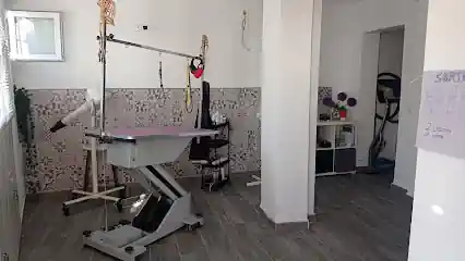 Peluquería Canina Elena Ramírez