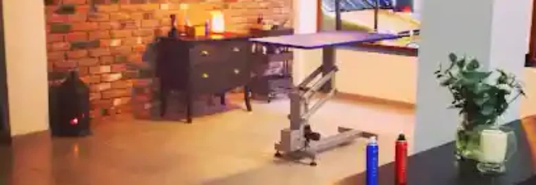 Peluquería Canina Lola Estévez