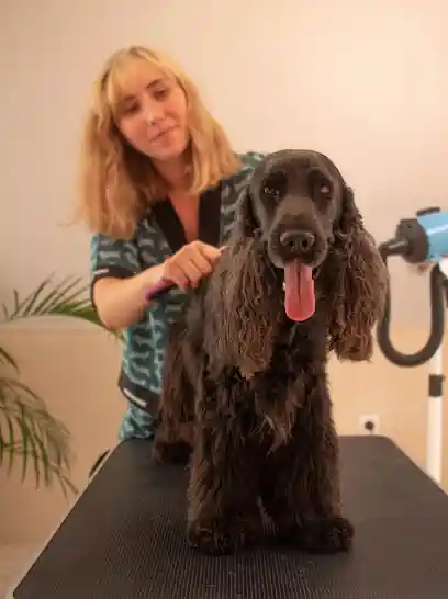 Peluquería Canina Madame Flush