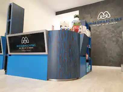 Peluquería Canina MásQMascotas