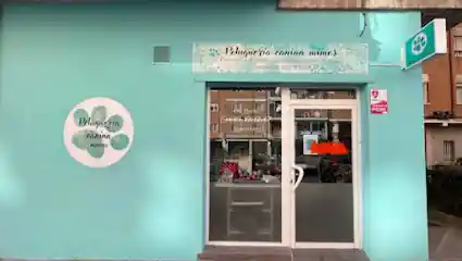 Peluquería Canina Mimos