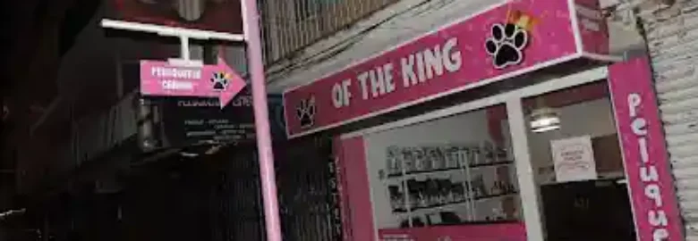 Peluqueria Canina OF THE KING