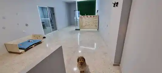 Peluquería Canina PerruqueRita
