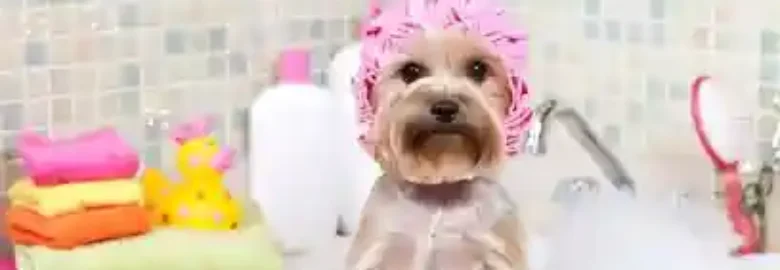 Peluquería Canina Raquel