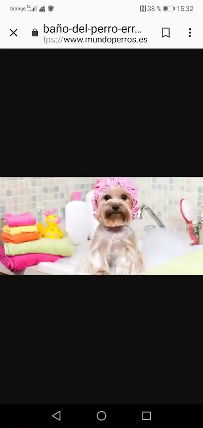 Peluquería Canina Raquel