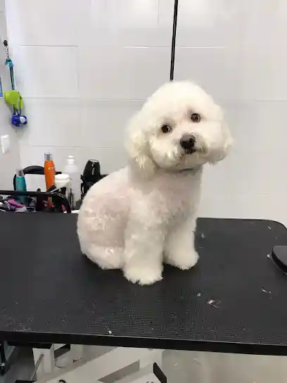 Peluquería Canina Renovecan