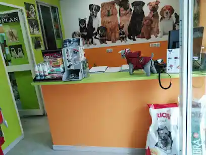 Peluquería Canina Reyes