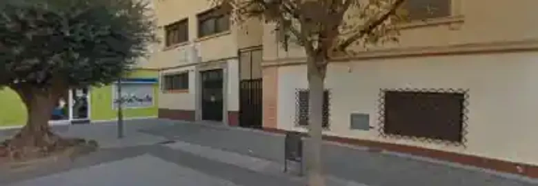 Peluquería Canina Talismán
