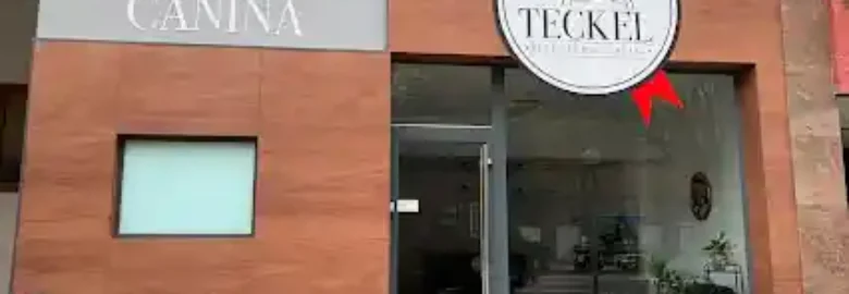 Peluquería Canina Teckel
