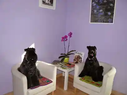 Peluquería Canina Truka