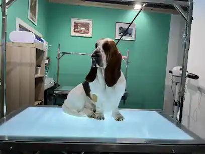 Peluquería Canina Xiros