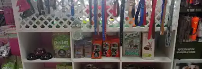 Peluquería Canina en Fuenlabrada | COCO’S