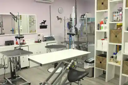 Peluquería Canina y Escuela de peluqueria PLUCKING en Santander