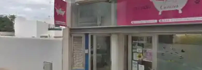 Peluqueria Canina y Guarderia de gatos Peludos