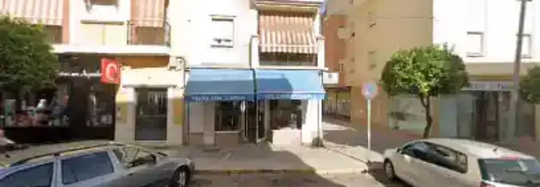 Peluqueria Canina