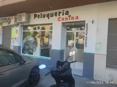 Peluquería Pelos Caninos