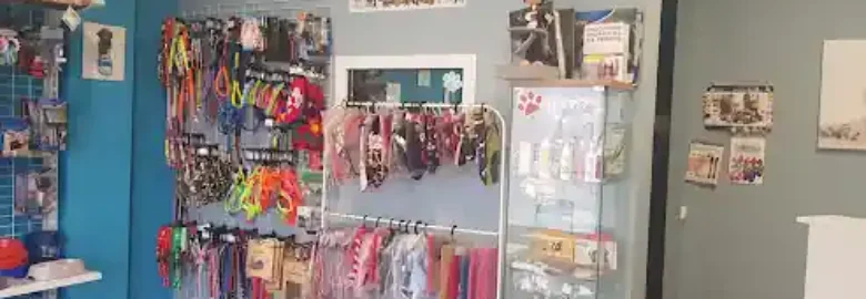 Peluqueria Stylo Canino