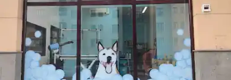 Peluquería canina Noemí Suárez