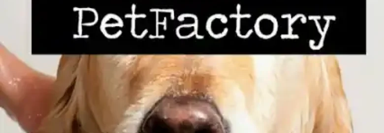 Peluqueria canina PetFactory Gijon
