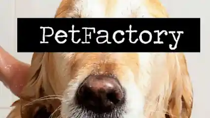 Peluqueria canina PetFactory Gijon