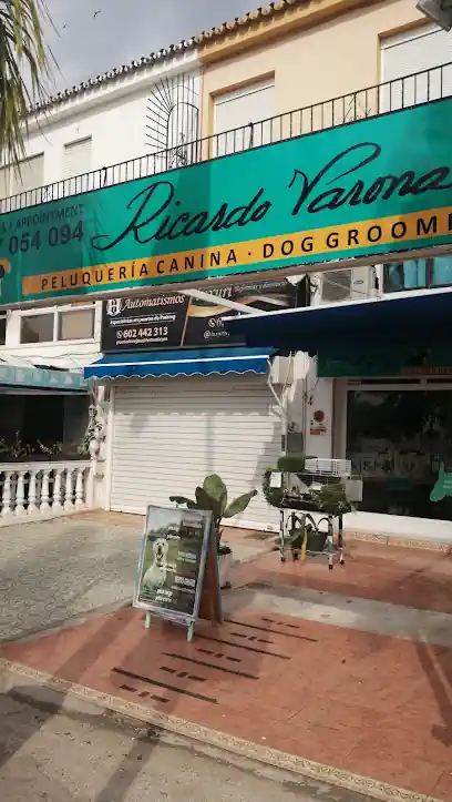 Peluquería canina Ricardo Varona