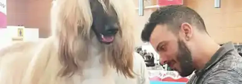 Peluquería canina Rubén arranz
