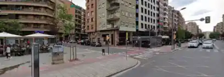 Peluqueria canina VidaPerra