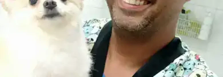 Peluqueria canina jose mari