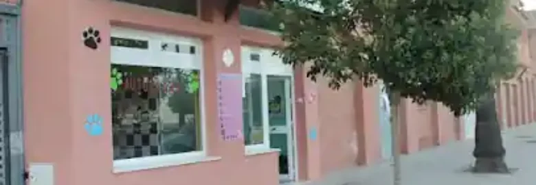 Peluquería canina y felina Regly Cuido Tu Mascota