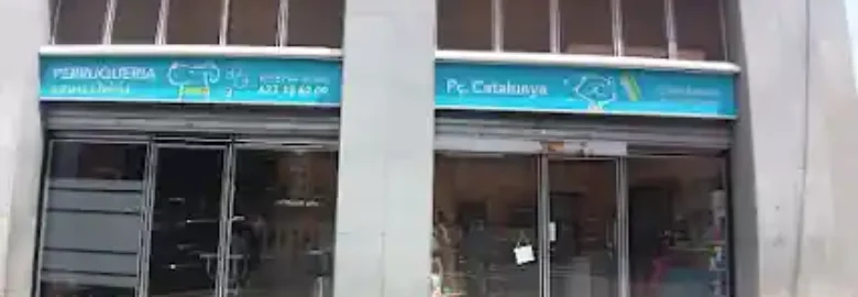 Peluqueria canina y felina plaza cataluña