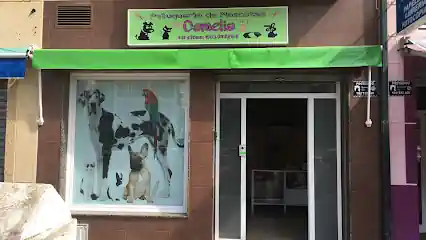 Peluquería de Mascotas Camelia