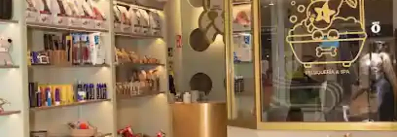 Perro Suertudo