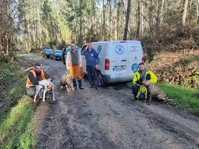 Perros de Búsqueda-Rescate-Mantrailing Deportivo-Perros Especiales K9