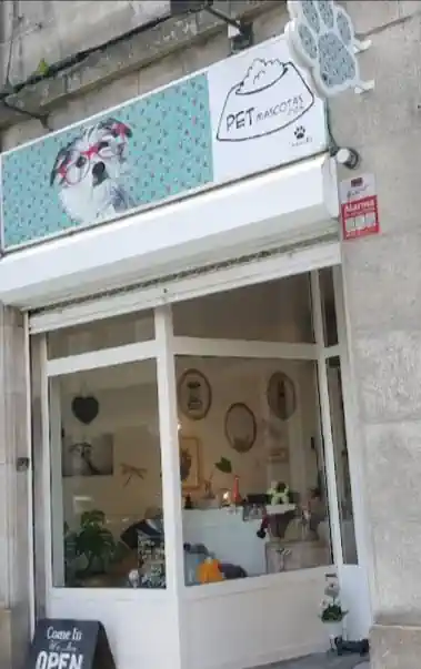 Pet Mascotas
