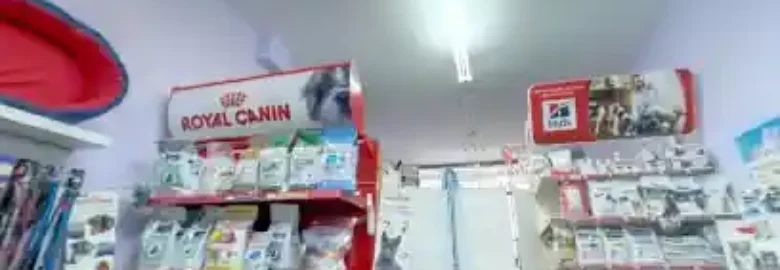 Pintxo Peluquería Canina