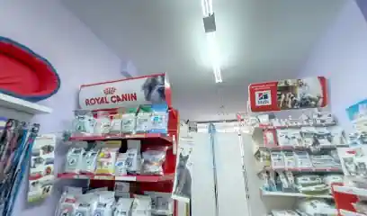Pintxo Peluquería Canina