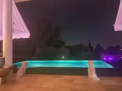 Pooches Hotel