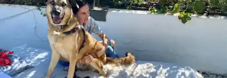Posh Pets Spain