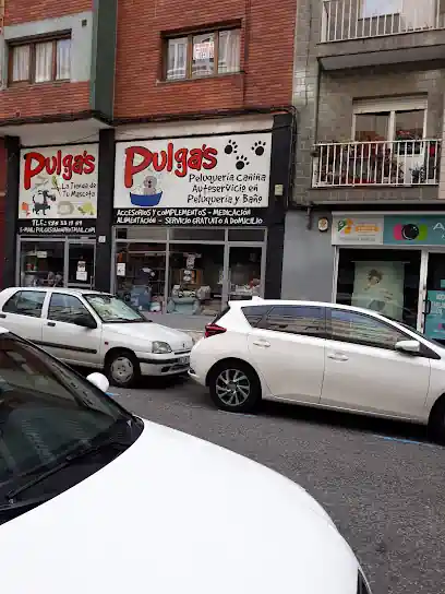 Pulga´s Peluquería Canina