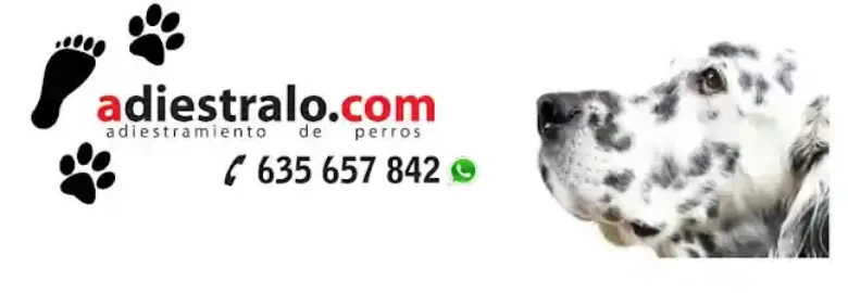 adiestralo.com