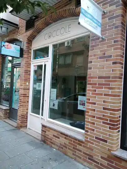 coccole peluqueria canina