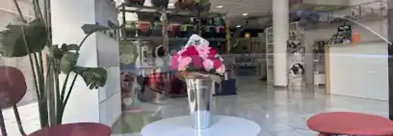 con perros y a lo loco totana