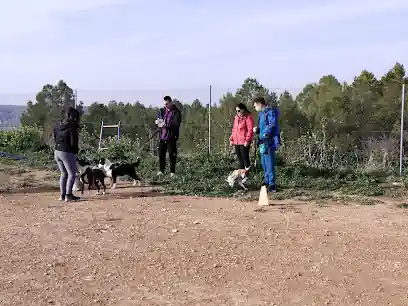 dperros Club
