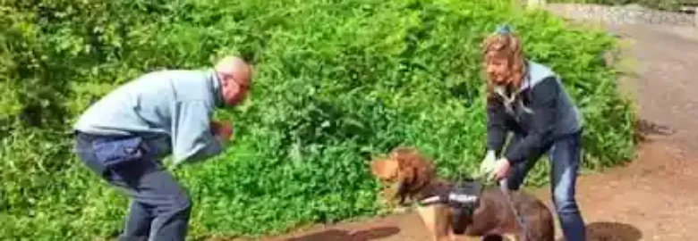 guarderia canina el jardin de tu mascota