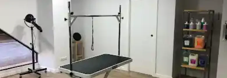 pel Gos pel Gat